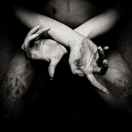 Shining - X - varg utan flock (CD) - Velvet Music