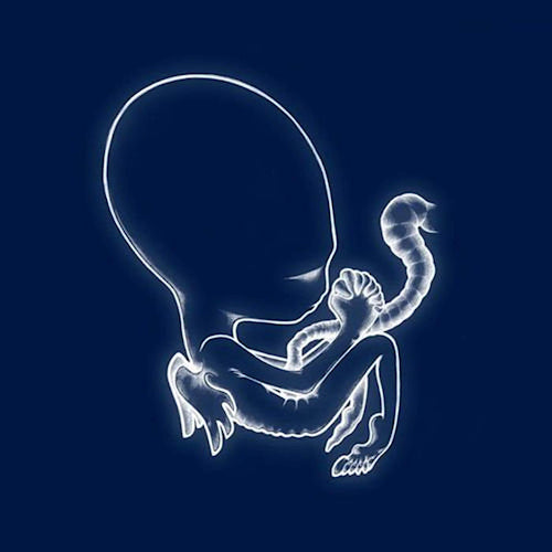Sigur Ros - Agaetis byrjun (LP) - Velvet Music