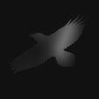 Sigur Ros - Odin's raven magic (LP) - Velvet Music