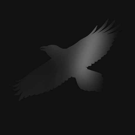 Sigur Ros - Odin's raven magic (LP) - Velvet Music