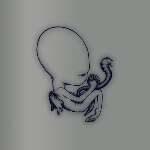 Sigur Ros - Agaetis byrjun (CD)