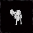 Sigur Ros - Kveikur (CD) - Velvet Music