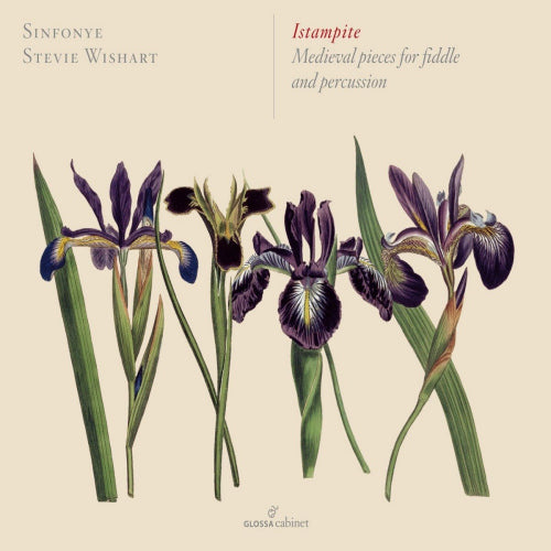 Sinfonye - Istampite (CD)