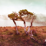 Slowly Rolling Camera - Juniper (CD) - Velvet Music