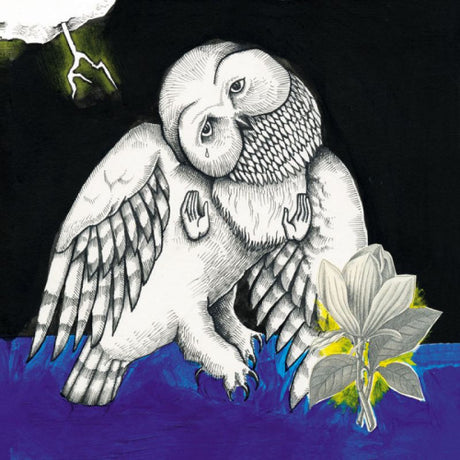 Songs: Ohia - The magnolia electric co (deluxe) (CD) - Velvet Music