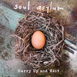 Soul Asylum - Hurry up and wait (LP) - Velvet Music