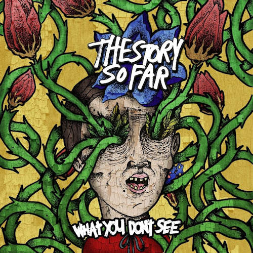 Story So Far - What you don't see (CD) - Velvet Music