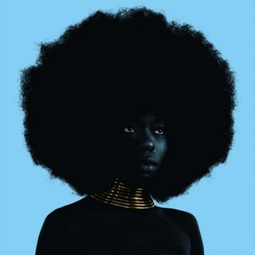 Sudan Archives - Sink (12-inch maxi-single) - Velvet Music