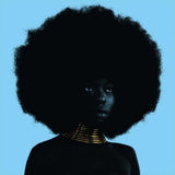 Sudan Archives - Sink (12-inch maxi-single) - Velvet Music