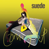 Suede - Coming up (LP) - Velvet Music