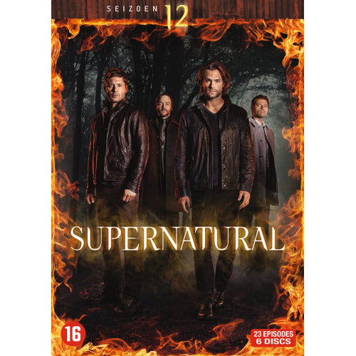 Tv Series - Supernatural season 12 (DVD movie)