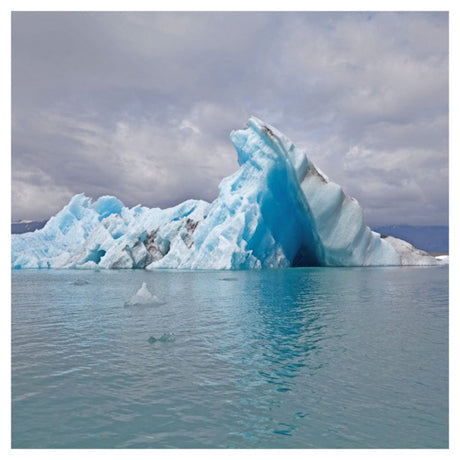 Surfer Blood - Snowdonia (LP) - Velvet Music
