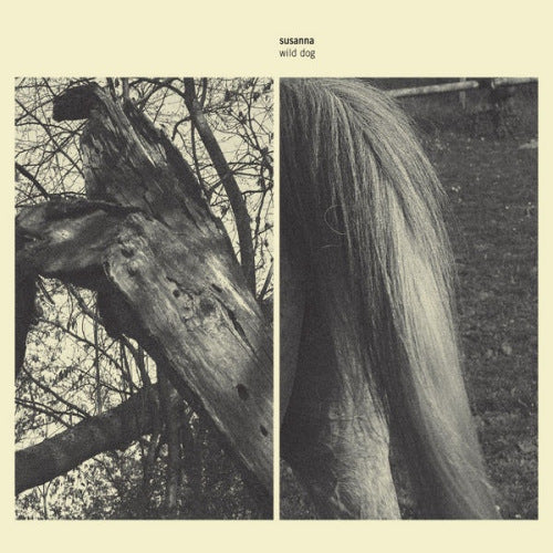 Susanna - Wild dog (CD) - Velvet Music