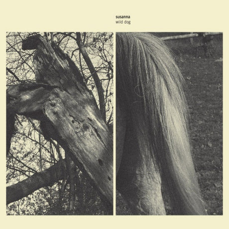 Susanna - Wild dog (CD) - Velvet Music