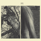 Susanna - Wild dog (CD) - Velvet Music