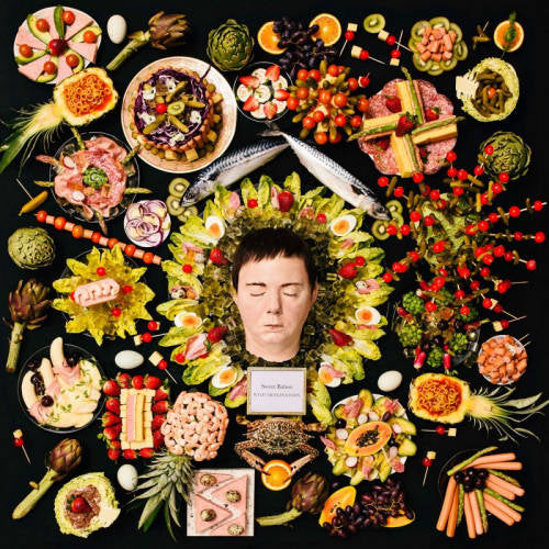 Sweet Baboo - Wild imagination (CD) - Velvet Music
