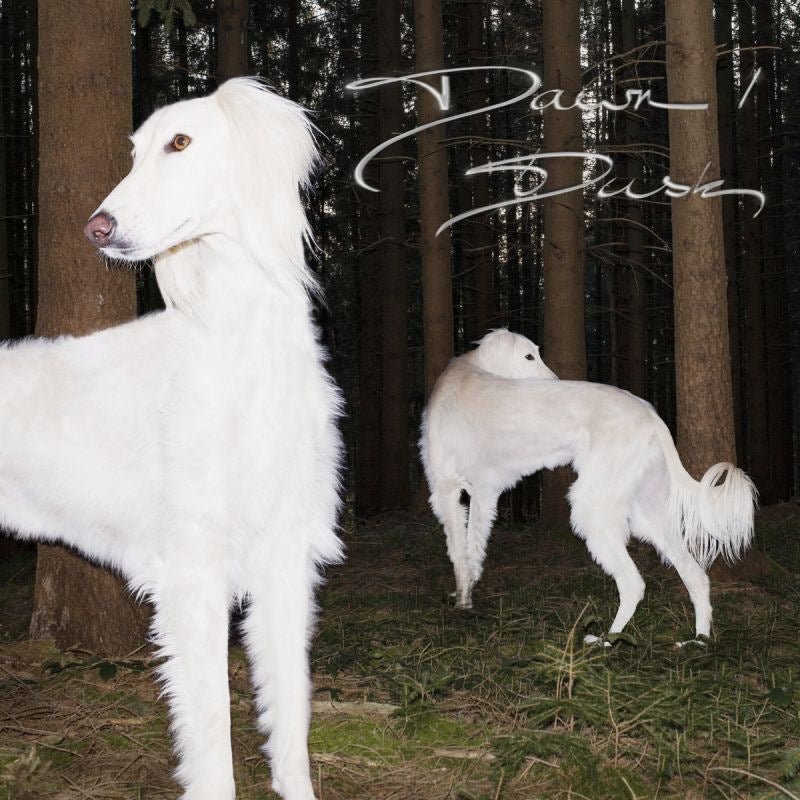 Sam De Nef - Dawn/dusk (LP)