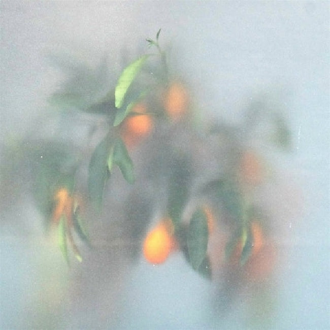 U-ziq & Mrs Jynx - Secret garden (LP)