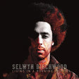 Selwyn Birchwood - Living in a burning house (LP) - Velvet Music