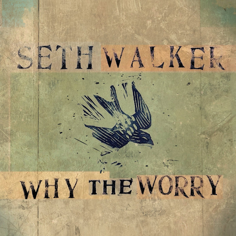 Seth Walker - Why the worry (LP)