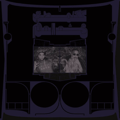Shabazz Palaces - Exotic birds of prey (LP) - Velvet Music