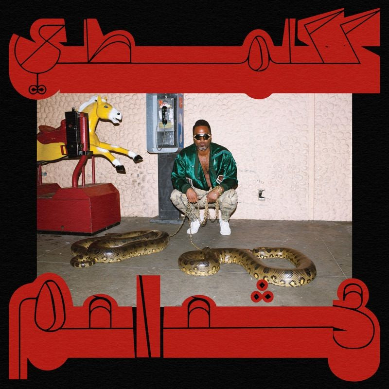 Shabazz Palaces - Robed in rareness (CD)