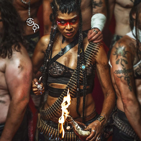 Shaka Ponk - Shaka ponk (LP) - Velvet Music