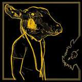 Shakey Graves - Roll the bones x -10th anniversary- (CD)