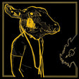 Shakey Graves - Roll the bones x -10th anniversary- (LP) - Velvet Music