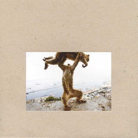 Shellac - Dude incredible (LP) - Velvet Music