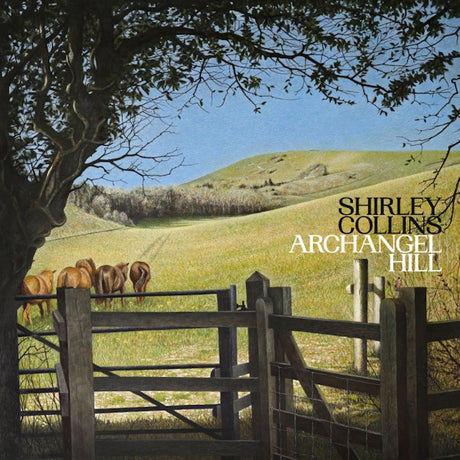 Shirley Collins & The Albion C - Archangel hill (LP) - Velvet Music