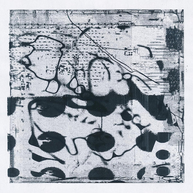 Simon Lanz & Tobias Lanz - Arches (LP) - Velvet Music
