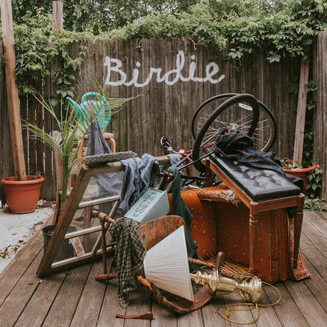 Slaughter Beach, Dog - Birdie (LP) - Velvet Music