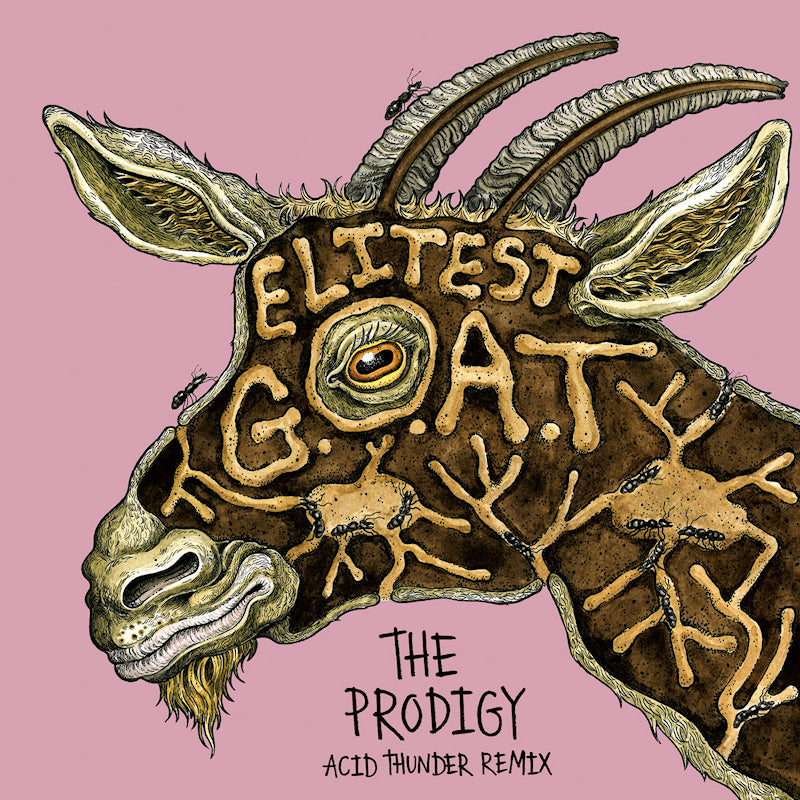 Sleaford Mods Vs The Prodigy Ft. Aldous Harding - Elitest g.o.a.t. (gold) (7-inch single)