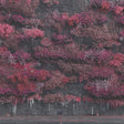 Sleep Token - Even in arcadia (CD) - Velvet Music