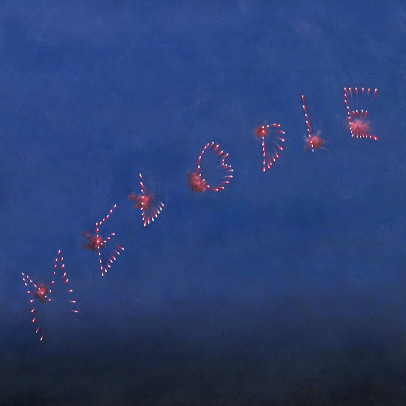 Slow Pulp - Melodie (LP)