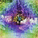 Small Black – 7-photojournalist (12-inch maxi-single)