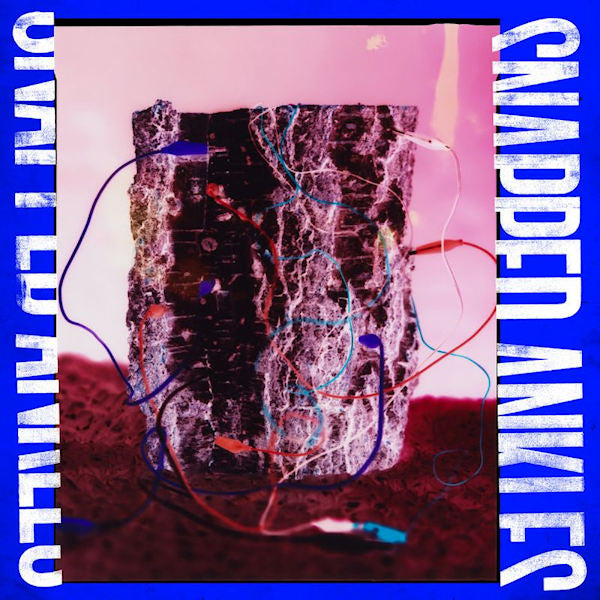 Snapped Ankles - Forest of your problems (CD) - Velvet Music