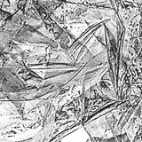 So Sner - Reime (LP)