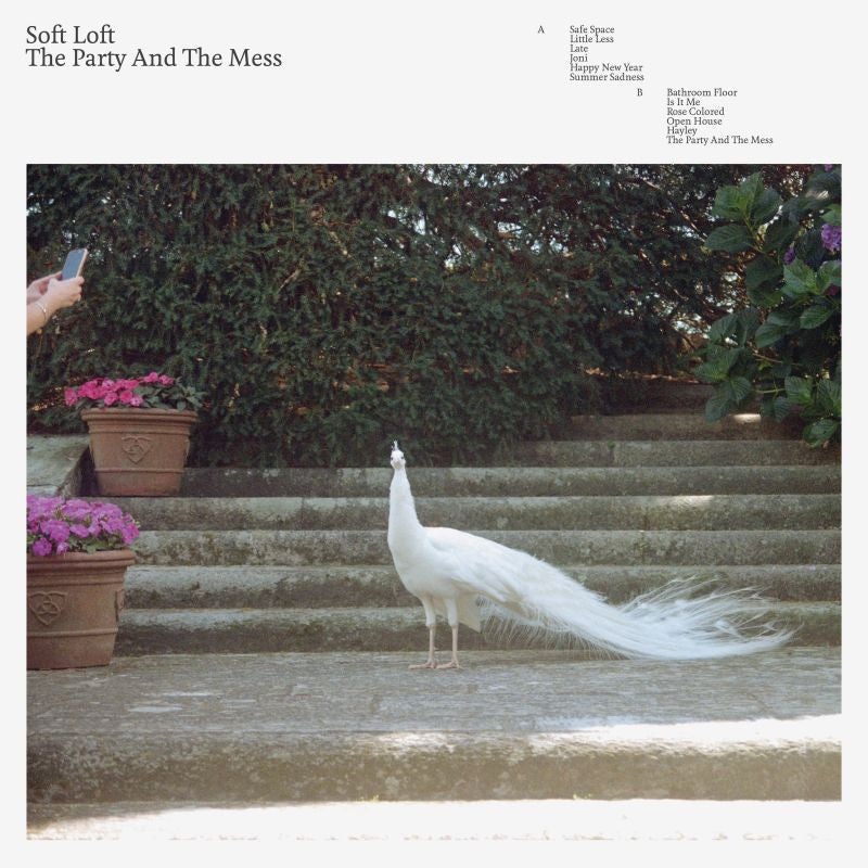 Soft Loft - The party and the mess (CD) - Velvet Music