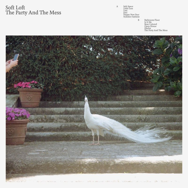 Soft Loft - The party and the mess (CD) - Velvet Music