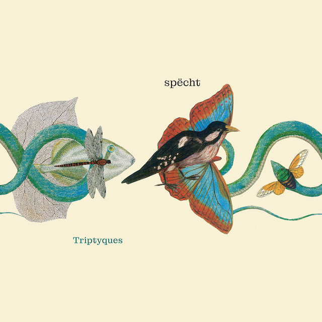 Specht - Triptyques (CD) - Velvet Music