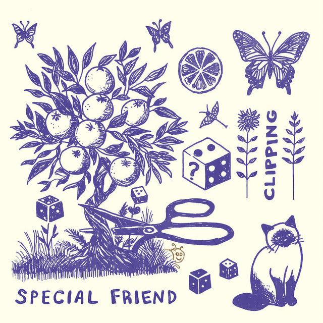 Special Friend - Clipping (LP) - Velvet Music