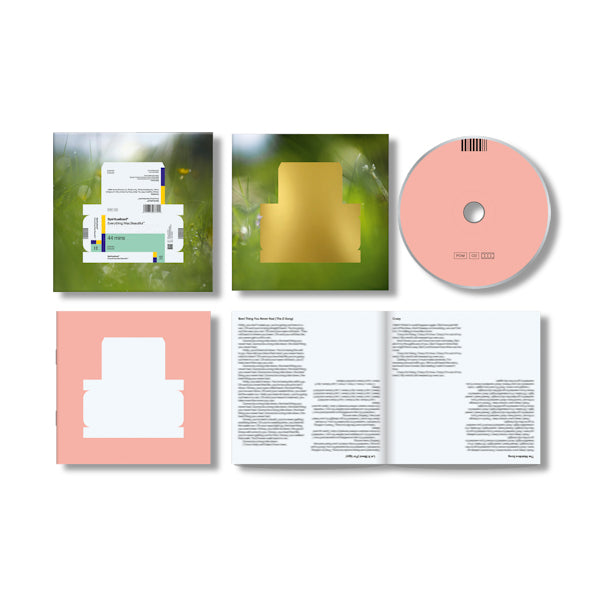 Spiritualized - Everything was beautiful (CD) - Velvet Music