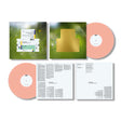 Spiritualized - Everything was beautiful (LP) - Velvet Music