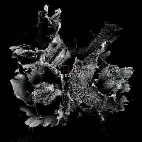 Spotlights - Love & decay (CD) - Velvet Music