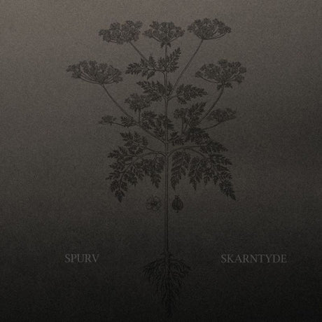 Spurv - Skarntyde (LP) - Velvet Music
