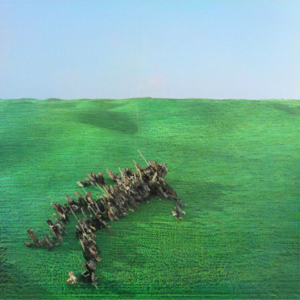 Squid - Bright green field (LP) - Velvet Music