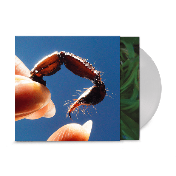 Squid - Cowards (LP)