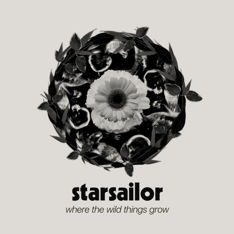 Starsailor - Where the wild things grow (LP)